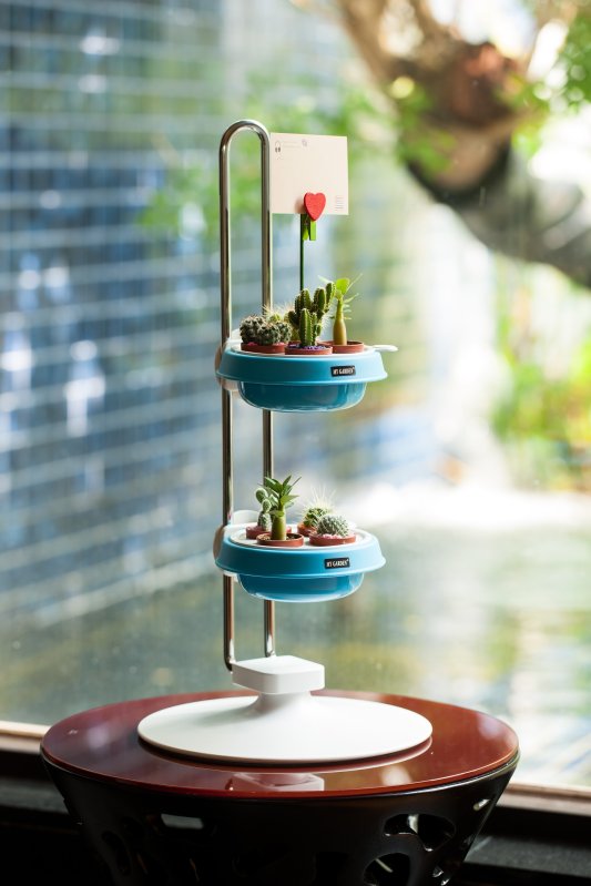 Therapeutic Plants 